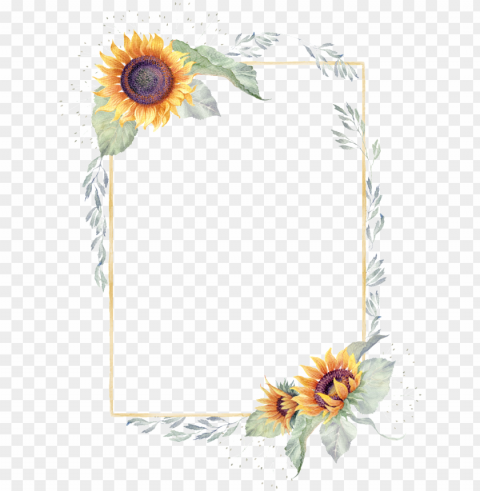 sunflower border watercolor hand painted - 向日葵 邊框 Transparent PNG images bundle