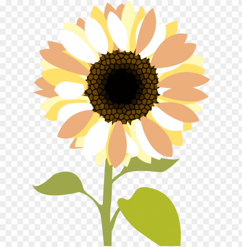 sunflower clipart PNG Image with Isolated Element