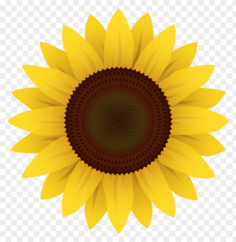 sunflower clipart PNG Image with Isolated Transparency