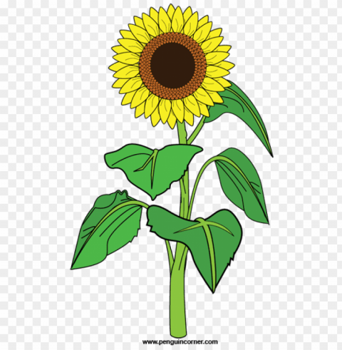 sunflower clipart PNG images for websites