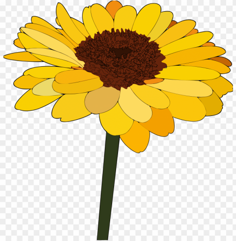 sunflower clipart PNG images with alpha channel selection