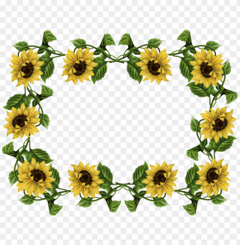 sunflower frame PNG for educational projects