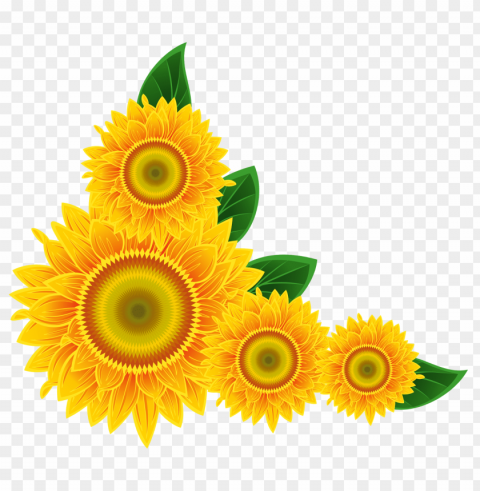 sunflower frame PNG for overlays