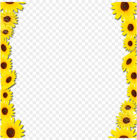 sunflower frame PNG Graphic Isolated on Clear Background Detail