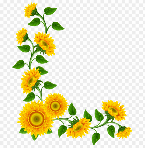 sunflower frame PNG Graphic Isolated with Transparency
