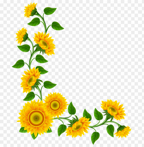 sunflower frame PNG Graphic Isolated with Transparency PNG transparent with Clear Background ID f38ae5b6