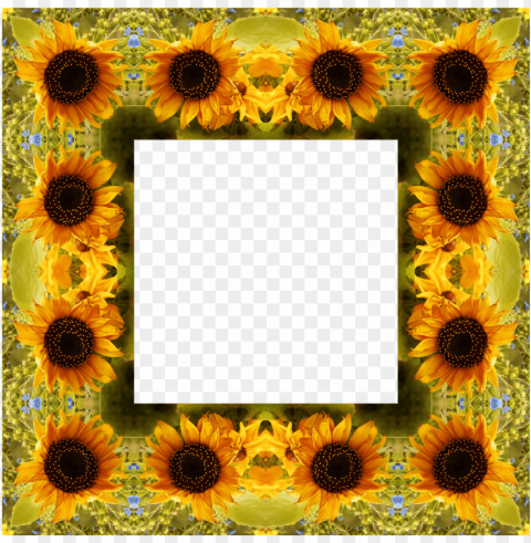 sunflower frame PNG Graphic with Transparency Isolation