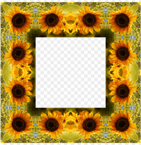 Sunflower Frame PNG Graphic With Transparency Isolation