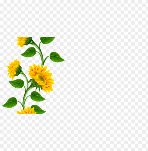 sunflower frame PNG Graphic with Transparent Background Isolation