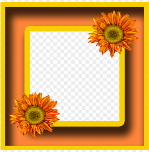sunflower frame PNG images free download transparent background