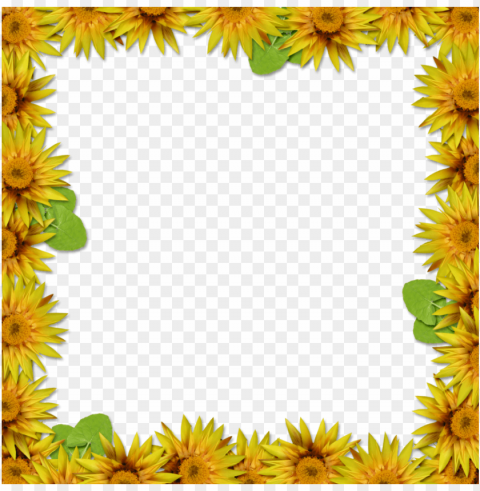 sunflower frame Isolated Subject in HighQuality Transparent PNG