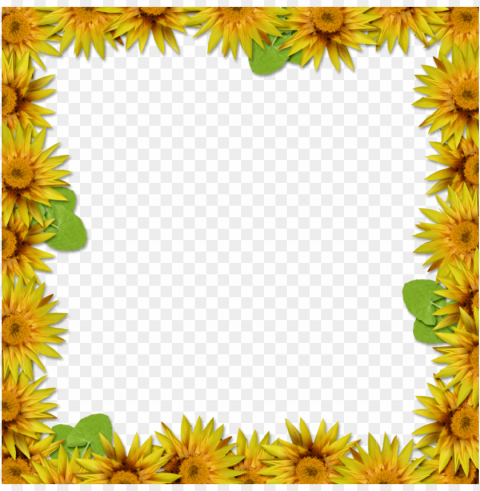 Sunflower Frame Isolated Subject In HighQuality Transparent PNG