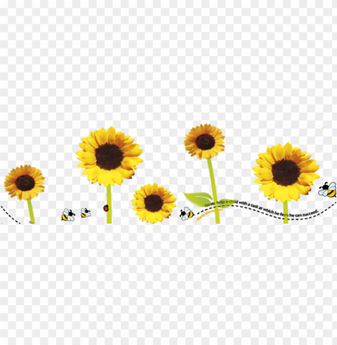 sunflower frame Isolated Subject in Transparent PNG Format