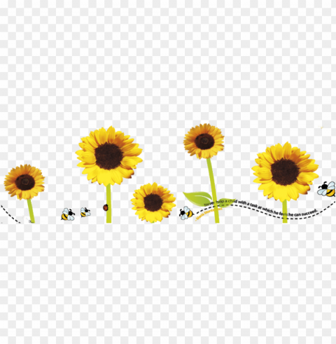 sunflower frame Isolated Subject in Transparent PNG Format PNG transparent with Clear Background ID a07c08a4