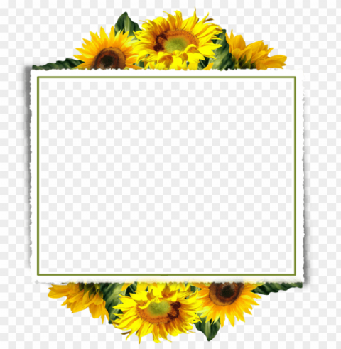 sunflower frame Isolated Subject on HighQuality PNG