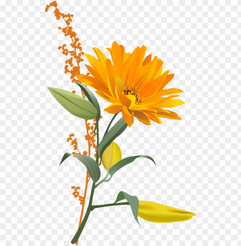 sunflower frame Isolated Subject with Clear PNG Background