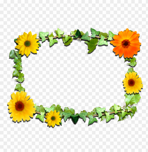 sunflower frame PNG files with clear background collection