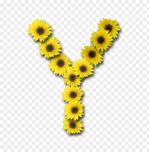 sunflower PNG graphics for free