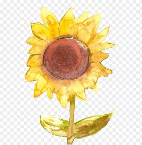 sunflower tumblr Isolated Item with HighResolution Transparent PNG