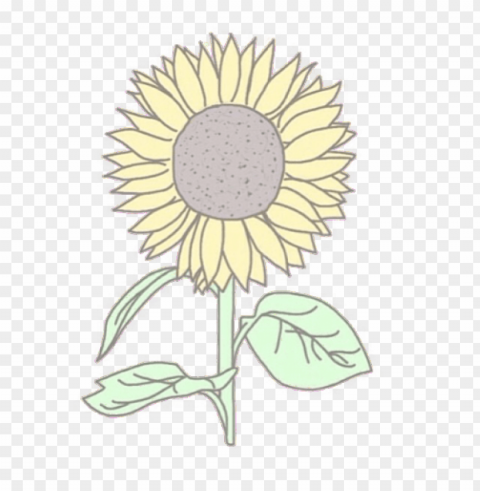 sunflower tumblr PNG clipart