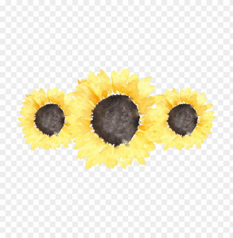 sunflower tumblr PNG graphics with clear alpha channel broad selection