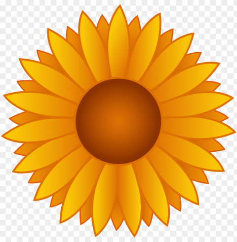 sunflower vector PNG Image with Clear Isolated Object