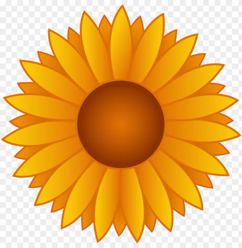 Sunflower Vector PNG Image With Clear Isolated Object