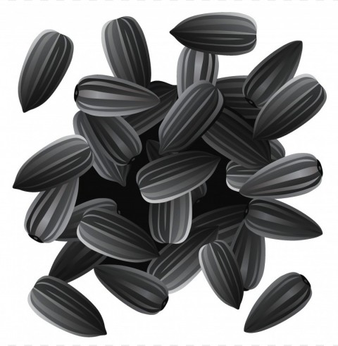 sunflower seed PNG Image Isolated with High Clarity PNG transparent with Clear Background ID beba5ef2