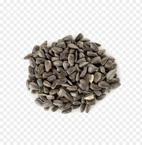 Sunflower Seed PNG Image Isolated With Transparency