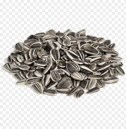 sunflower seed PNG Image with Clear Background Isolation