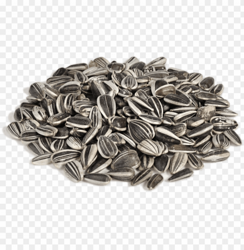 Sunflower Seed PNG Image With Clear Background Isolation