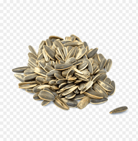 sunflower seed PNG Image with Isolated Graphic Element