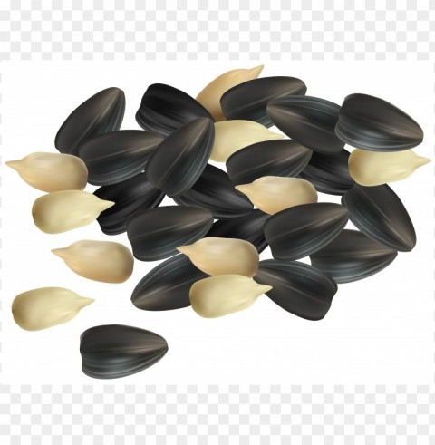 sunflower seed PNG Image with Transparent Cutout