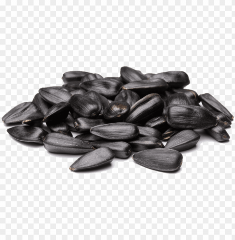 sunflower seed PNG Image with Transparent Isolated Graphic Element
