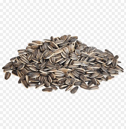sunflower seed PNG Image with Transparent Isolation