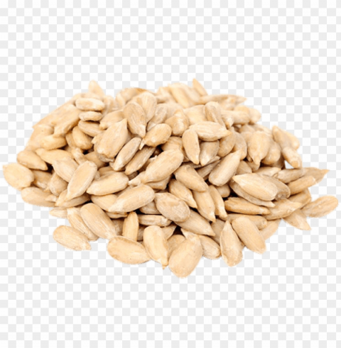 sunflower seed PNG images for banners