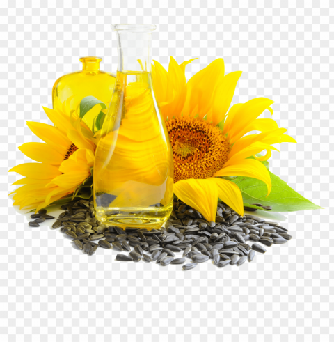 sunflower seed PNG images with clear alpha channel broad assortment