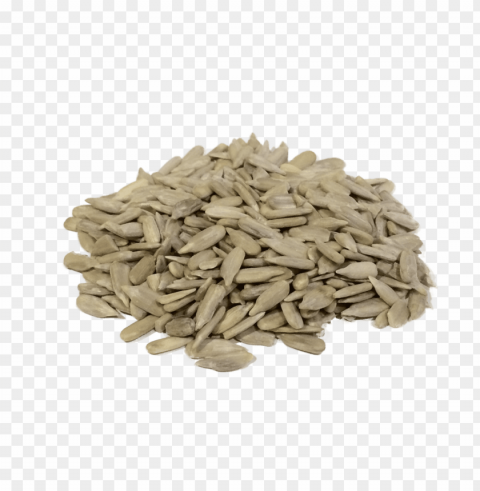 sunflower seed PNG images with cutout PNG transparent with Clear Background ID 4b874619