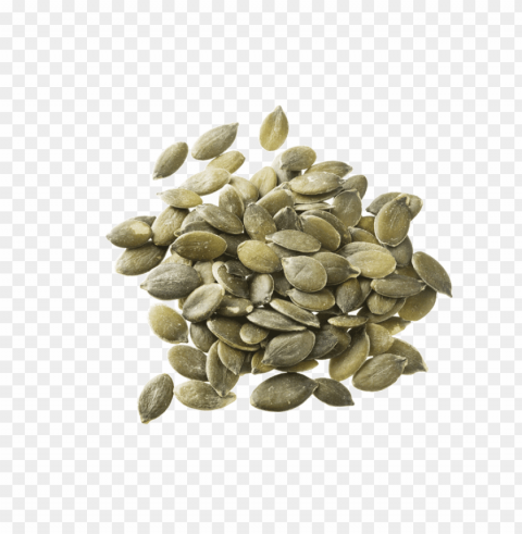sunflower seed PNG images with no attribution