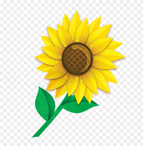 sunflower seed Clear image PNG