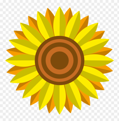 sunflower vector PNG graphics with alpha transparency bundle