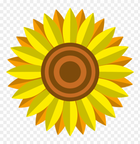 Sunflower Vector PNG Graphics With Alpha Transparency Bundle