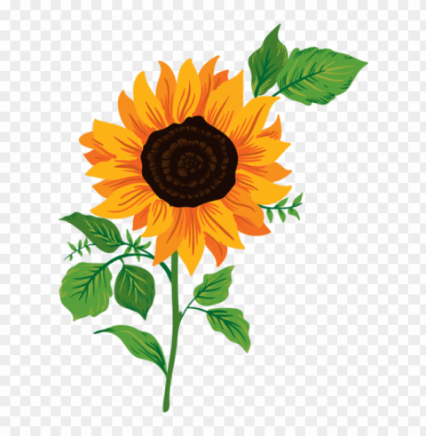 sunflower vector PNG graphics with clear alpha channel broad selection