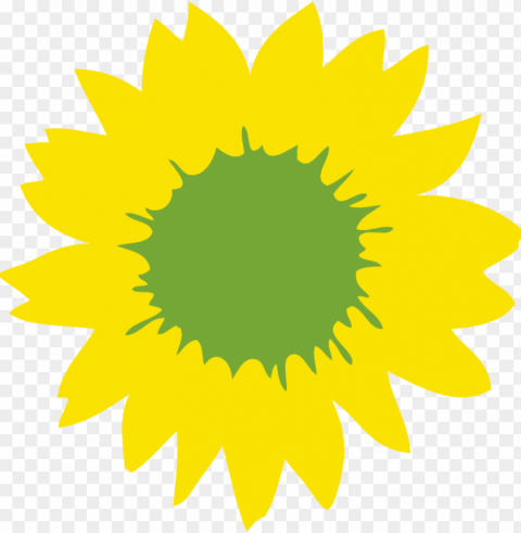 sunflower vector PNG graphics with transparent backdrop