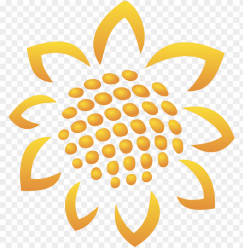 sunflower vector PNG high quality