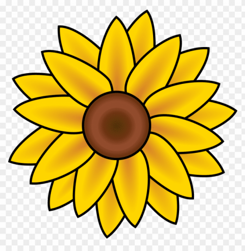 sunflower vector PNG Illustration Isolated on Transparent Backdrop