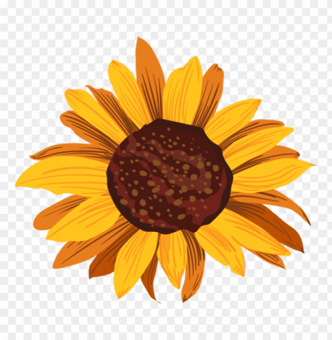 sunflower vector PNG Image with Clear Background Isolated