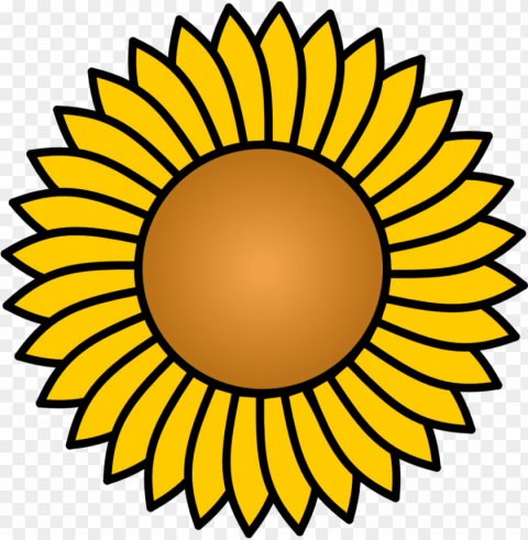 sunflower vector PNG clipart with transparent background