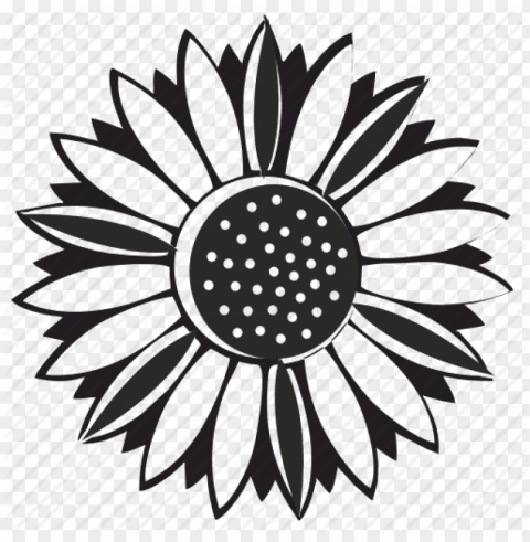 sunflower vector PNG files with no royalties