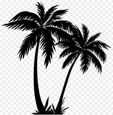 survival tree outlines obsession - palm tree line art PNG Image Isolated with HighQuality Clarity